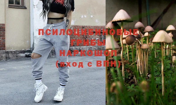 спиды Каменка