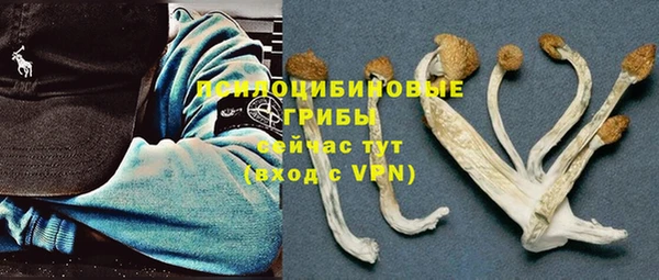 твердый Абаза