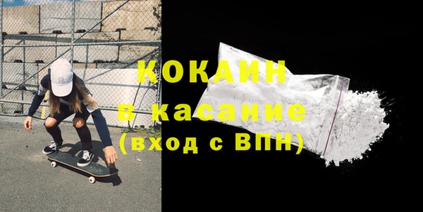 прущие грибы Каменногорск